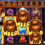 Slot Release The Bison