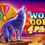 Wolf Gold 4 Pack